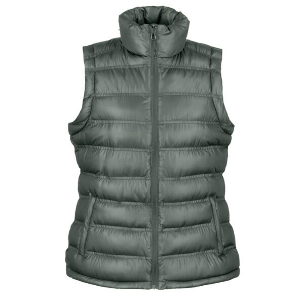 Naiste vest ,Ice Bird Gilet